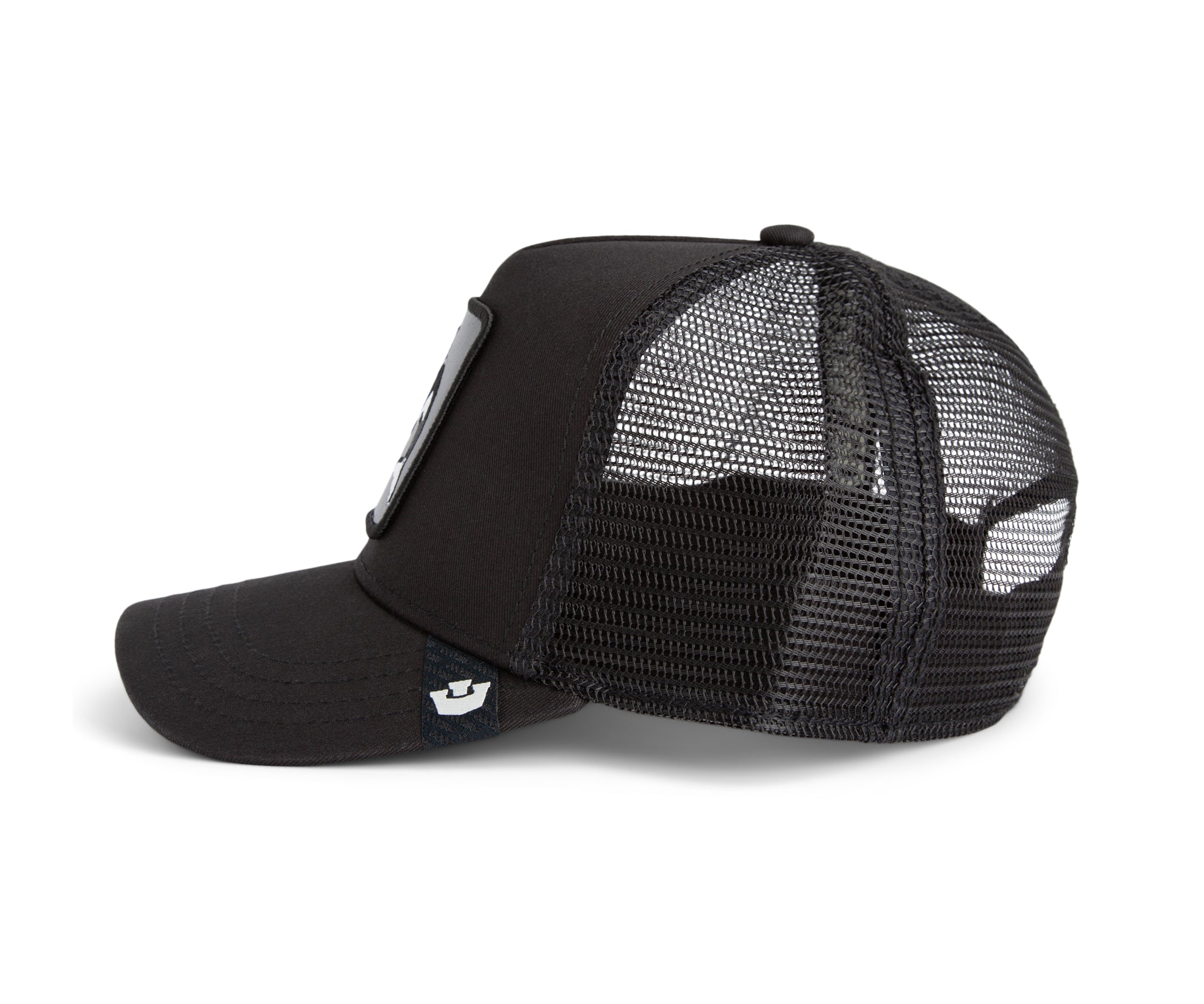 Killer Whale Cap
